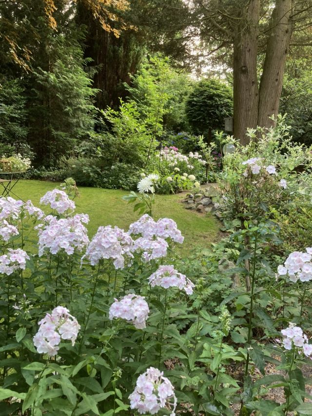 Tuin 2 Celebeslaan